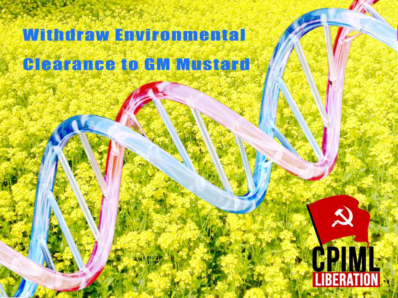 Withdraw Environmental Clearance to GM Mustard